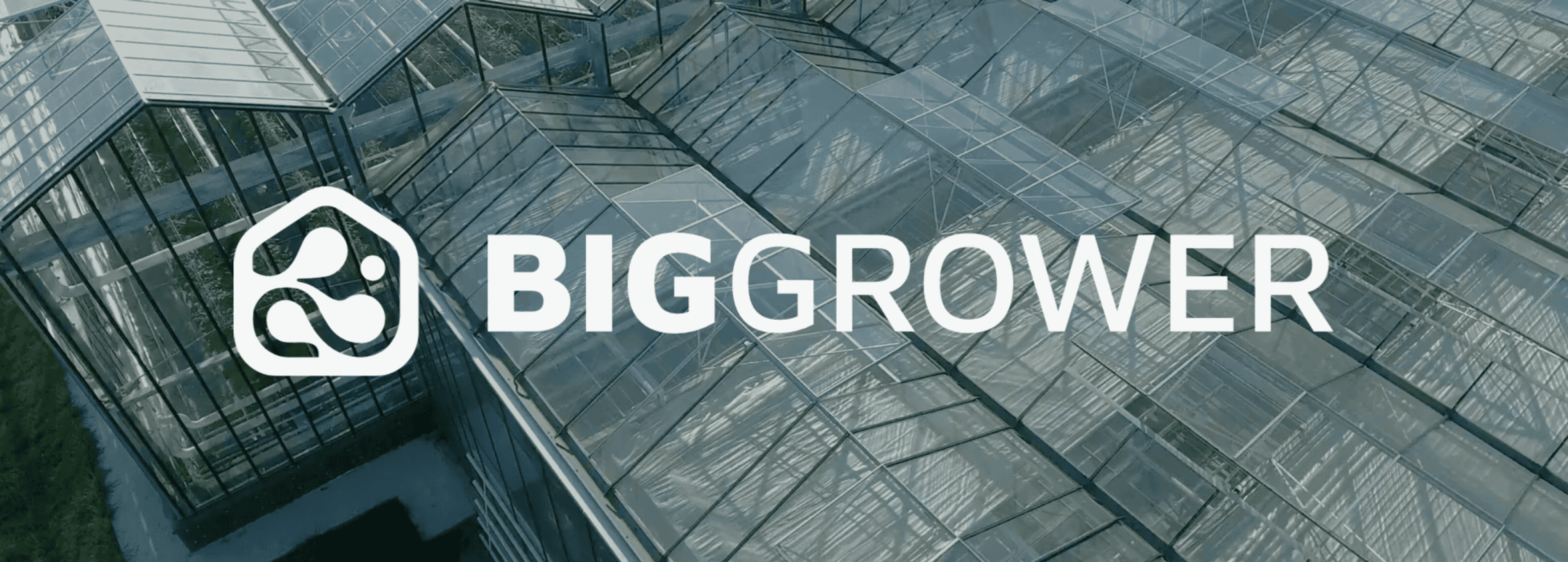 Aplicación del logotipo BigGrower sobre invernaderos