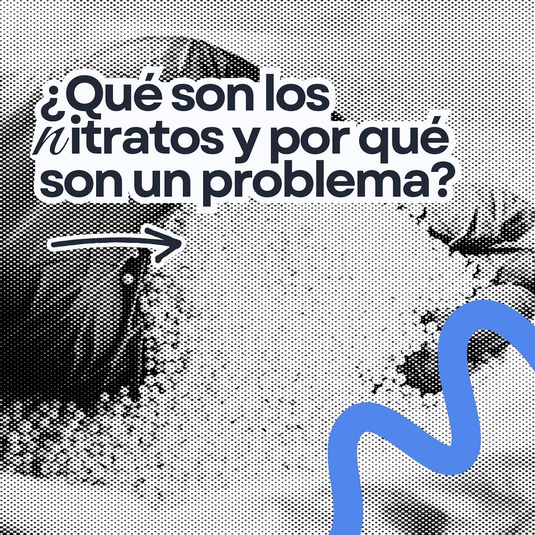 Portada sobre qué son los nitratos