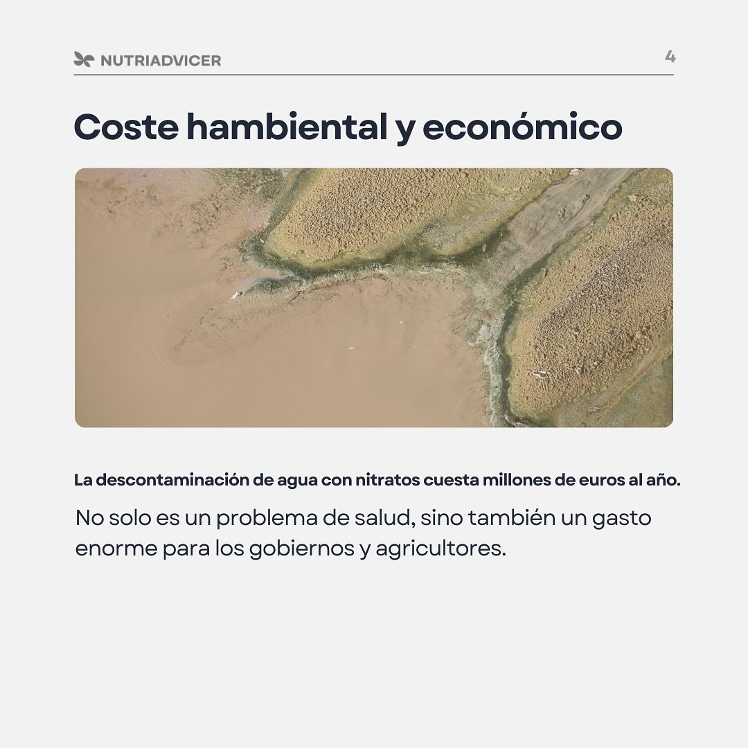 Coste ambiental y económico